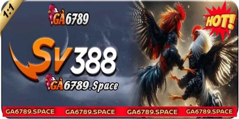 Sân chơi đá gà online của nhà cái rất nổi tiếng