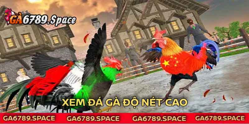 Xem đá gà với độ nét hoàn hảo