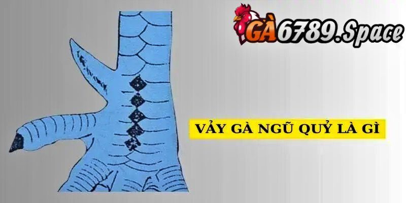 Giới thiệu hình dạng độc đáo của vảy gà ngũ quỷ