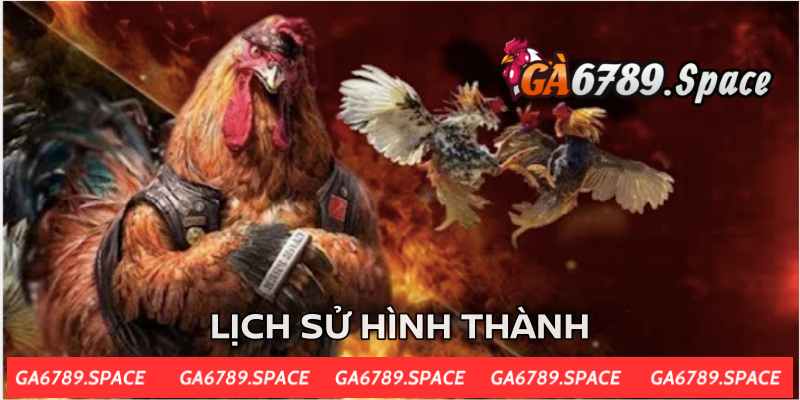 Nhà cái có lịch sử hình thành lâu đời