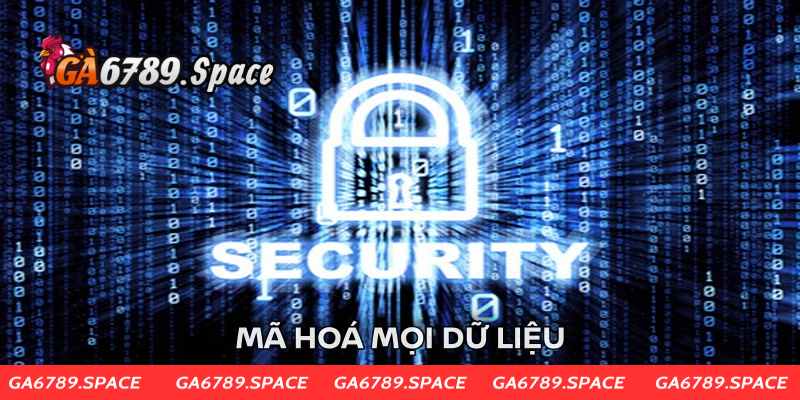 Công nghệ mã hóa MD5 hiện đại