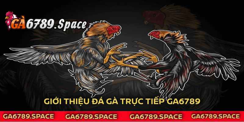 Sơ lược về đá gà trực tiếp Ga6789